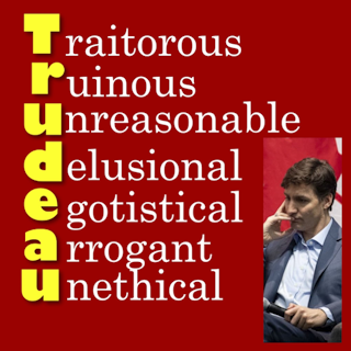 From sunny ways to pelted with stones: Why do some Canadians hate Justin  Trudeau?
