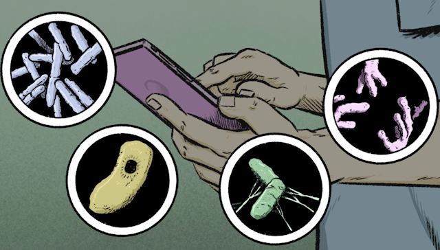 A smartphone surrounded by highlights of various bacteria and viruses, including e.coli, listeria, a parasite and salmonella.
