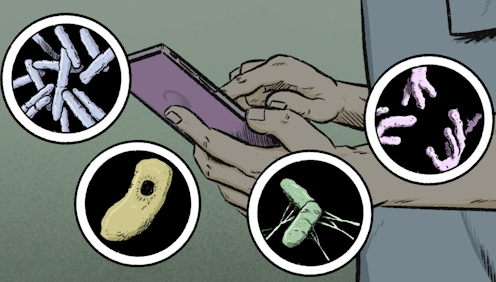 Our mobile phones are covered in bacteria and viruses... and we never wash them
