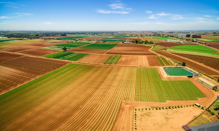 Climate change is coming for your snacks: why repeated drought threatens dried fruits and veggies