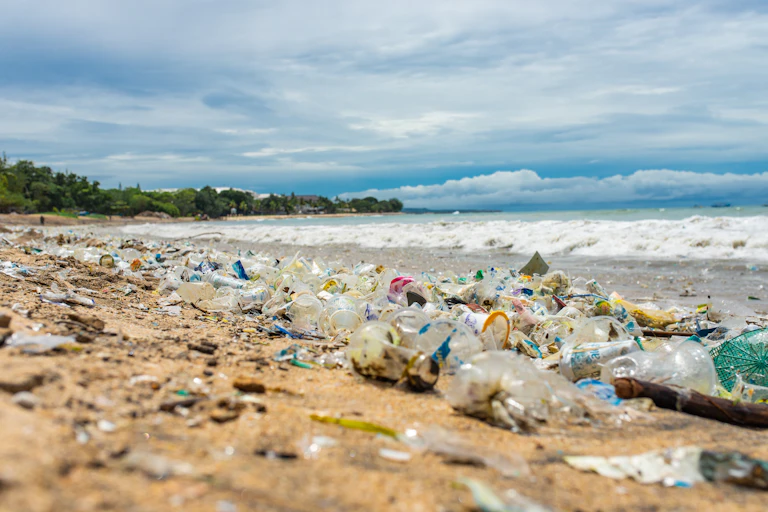 plastic litter on beach