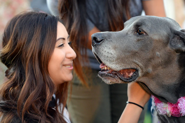 A woman looks at a black dog.