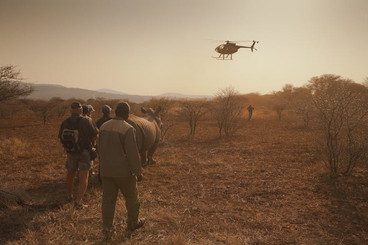 A helicopter hovering over people with a rhino