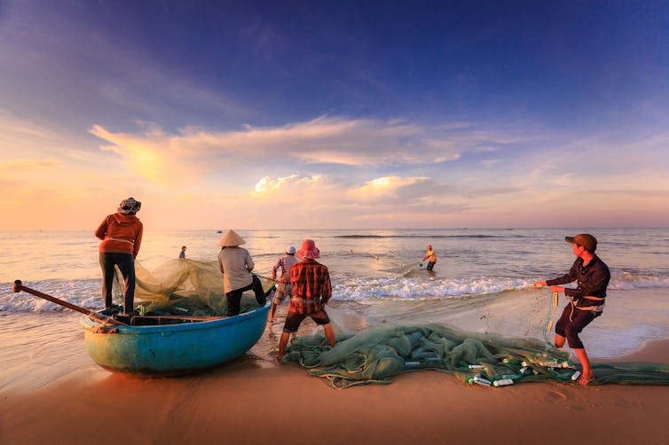 Fisherman haul in a catch on a beach