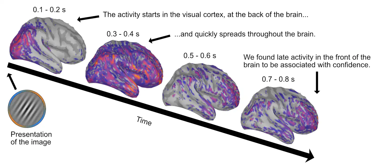 What happens when your brain looks at itself?