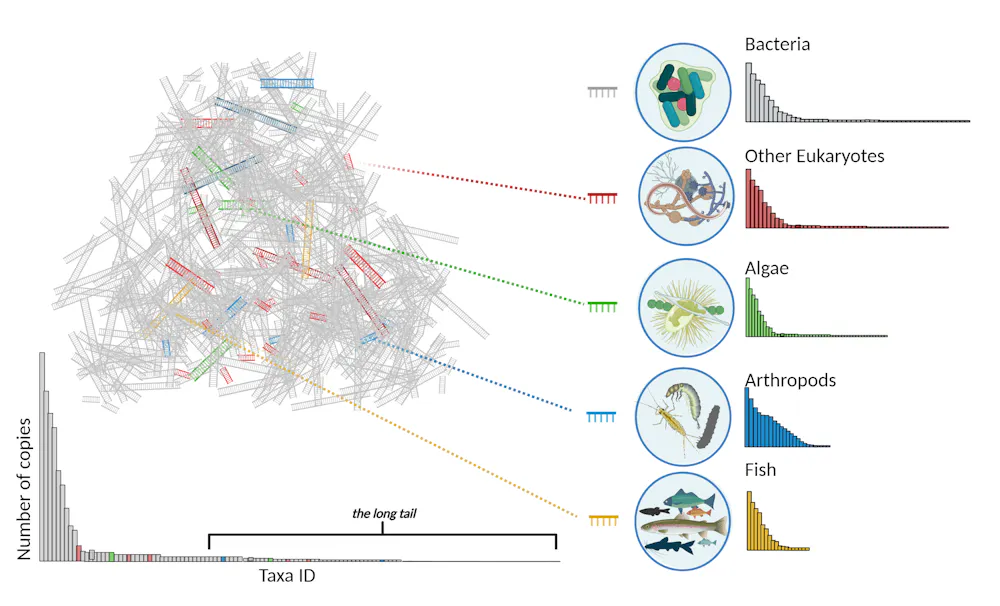 Environmental DNA: ecologists powerful new tool | Nerds Unbound