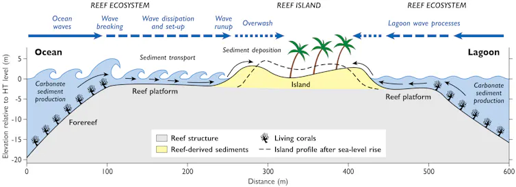 A diagram of a typical atoll island's structure