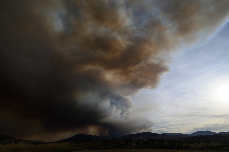 Smoke from the Black Summer fires created an algal bloom bigger than Australia in the Southern Ocean