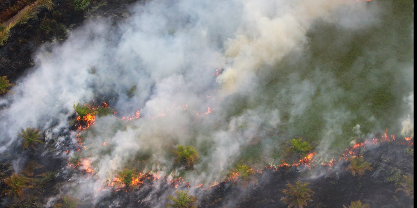 Dampak Kebakaran Hutan Indonesia