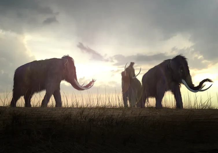 Rendering of woolly mammoths on field.