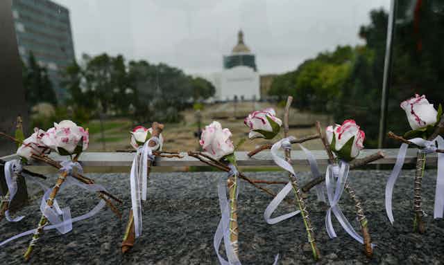 Wooden crosses with roses in front of Capital Plaza in Edmonton, Alberta, Canada, in honor of International Overdose Awareness Day