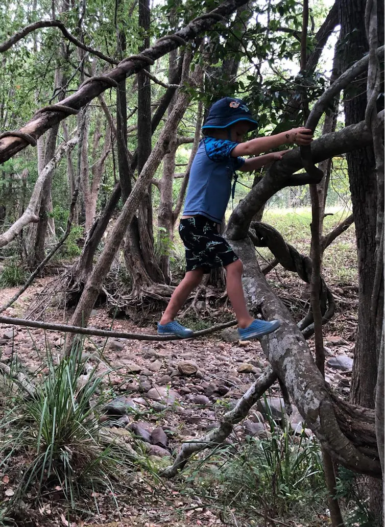 Young boy balances on a vine as he climbs into a tree