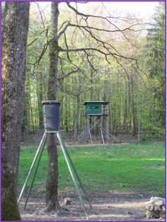 Photo de dispositifs d’agrainage dans un bois.