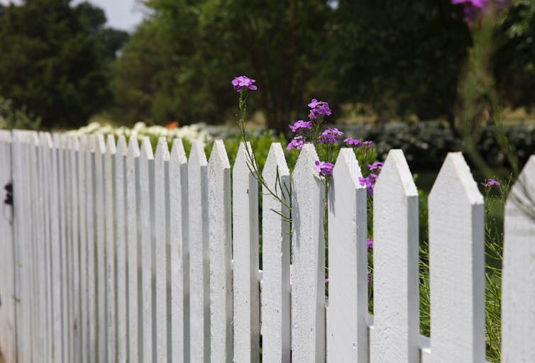 Photo d’une barrière de bois blanche délimitant un jardin.