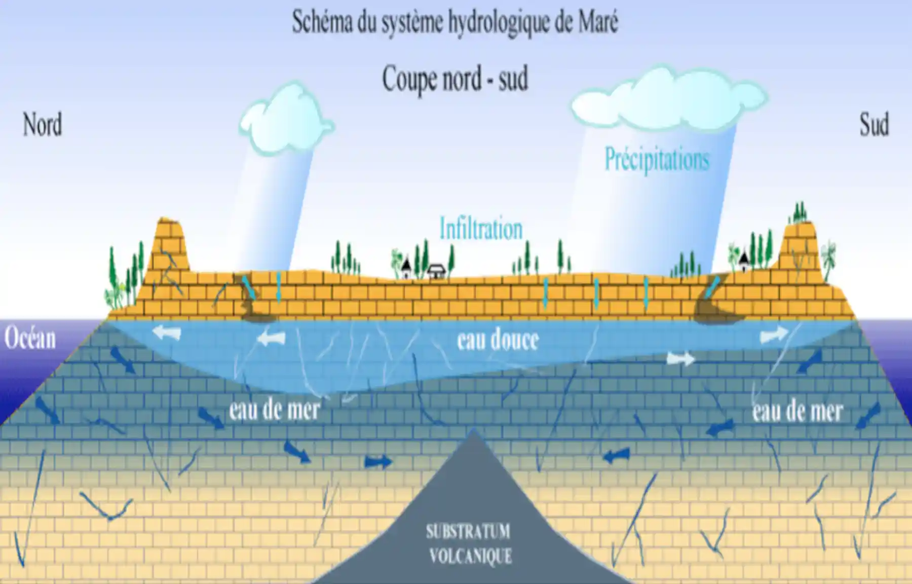 À Maré en Nouvelle-Calédonie, un jeu de rôles pour préserver les ...