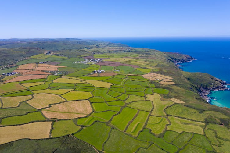 Aerial view of fields in Cornwall.