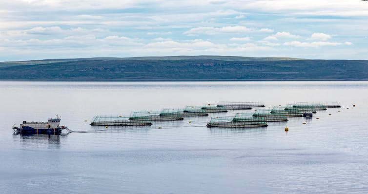 A fish farm in open water