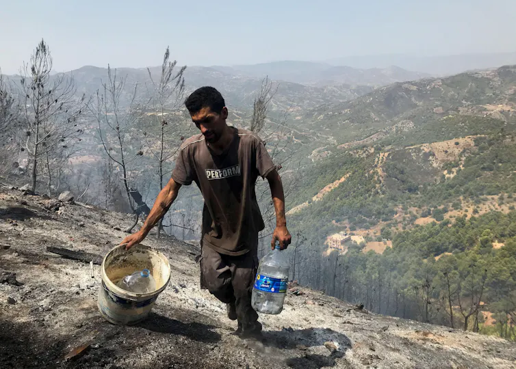 A man carries water up a charred hillside.