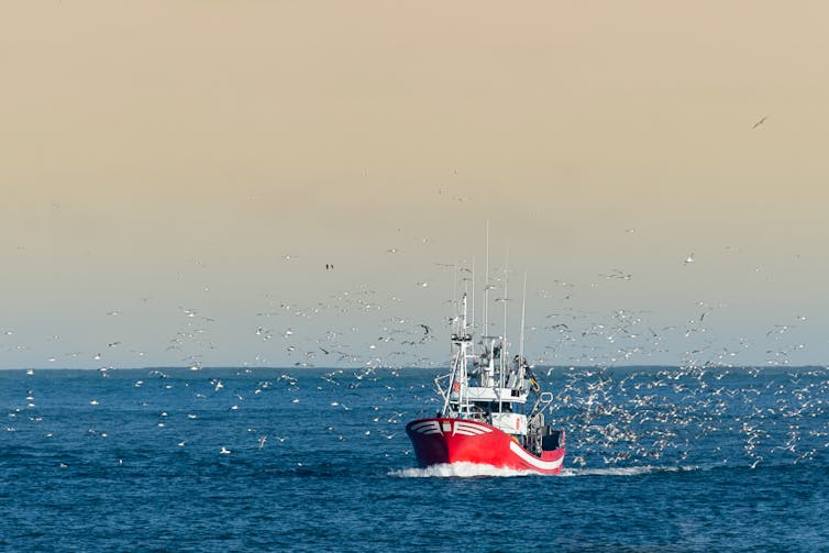 A fishing boat coming into harbour