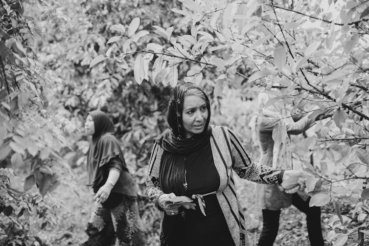 Black and white photo, three women surrounded by trees.