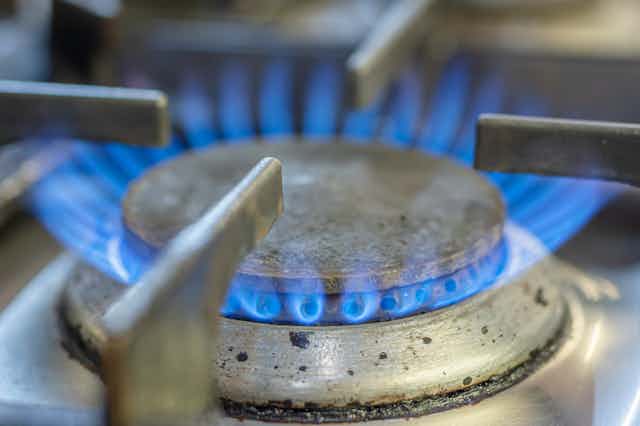 A kitchen gas hob with blue flames.