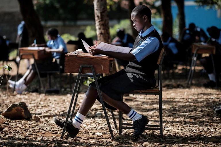Students studying outdoors.
