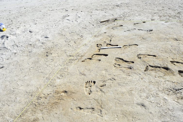 modern footprints bordering ancient ones.