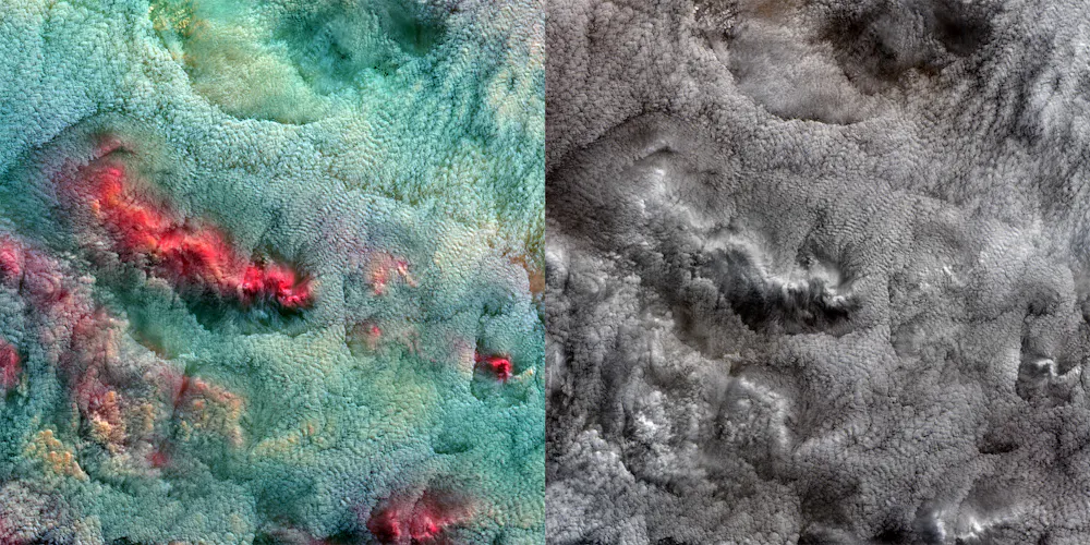 True Color False Color rejected satellite data gives a fresh view of our floating companions