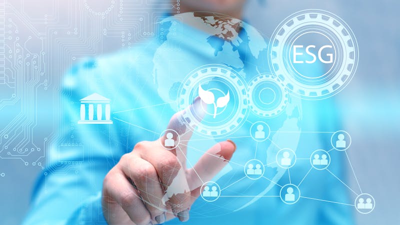 Sostenibilidad e innovación: cómo cambiar la forma de hacer las cosas Sostenibilidad e innovación: cómo cambiar la forma de hacer las cosas