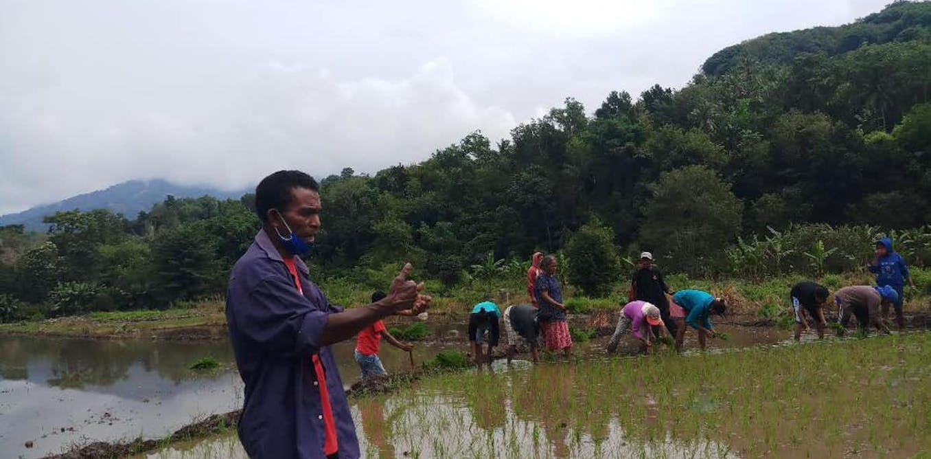 Farmers groups lead the way in adapting to a changing climate