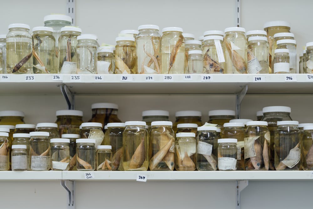 Old, goopy museum specimens can tell fascinating stories of wildlife  history. Finally, we can read them