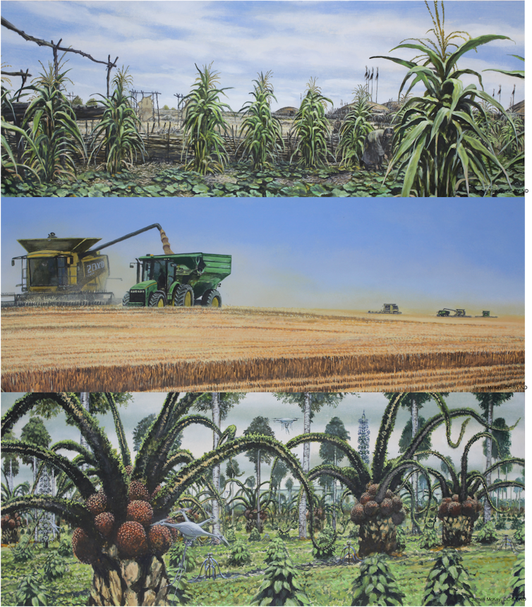 A triptych of agriculture and changes in crops over time due to climate change