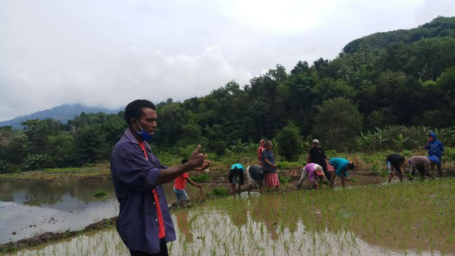 Agraris Dengan Cara Rotasi Tanaman Termasuk Bagian Dari Strategi