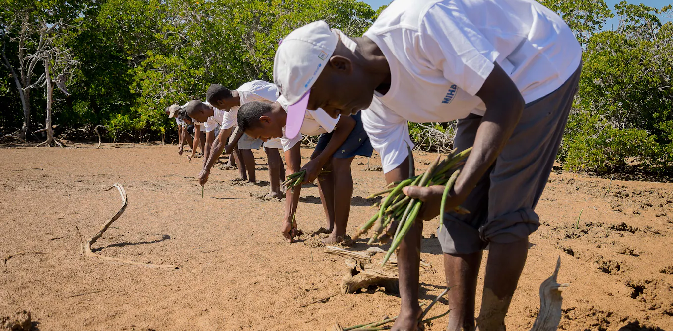 Conservation works better when local communities lead it, new evidence ...