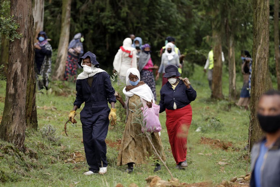 Ethiopians take part in a national mass tree-planting drive.