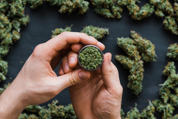 Hands hold cannabis in a small jar.