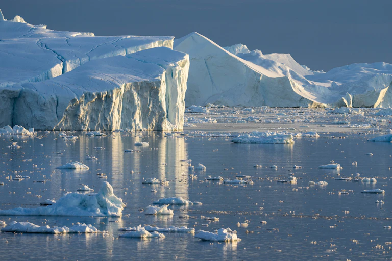 Arctic sea ice