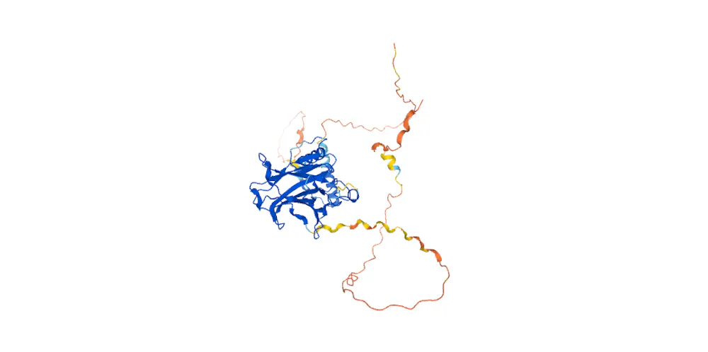 Musical Notes Protein The music of proteins is made audible through a computer program that ...