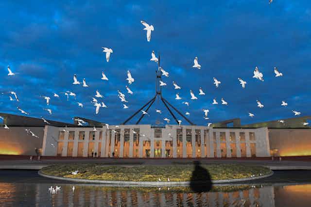 birds fly in front of Parliament House, Canberra