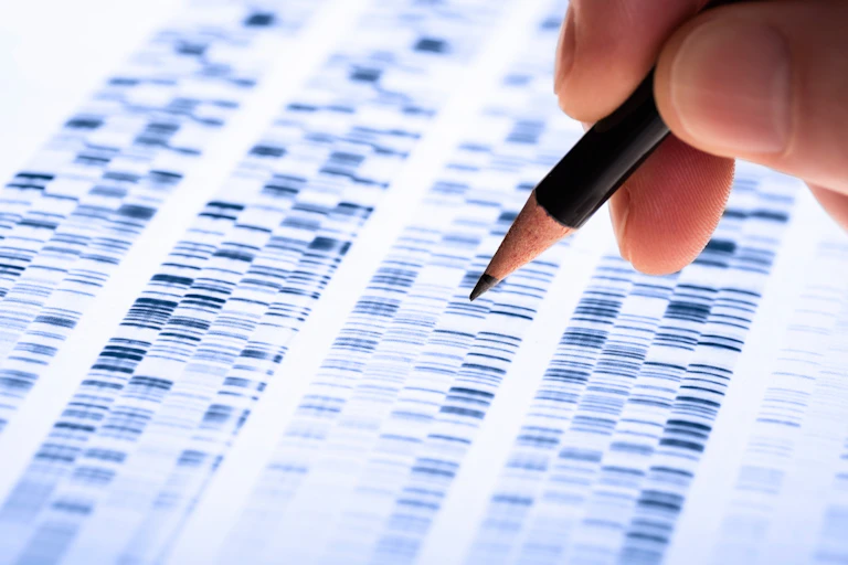 A genetic test result - showsn as a DNA gel