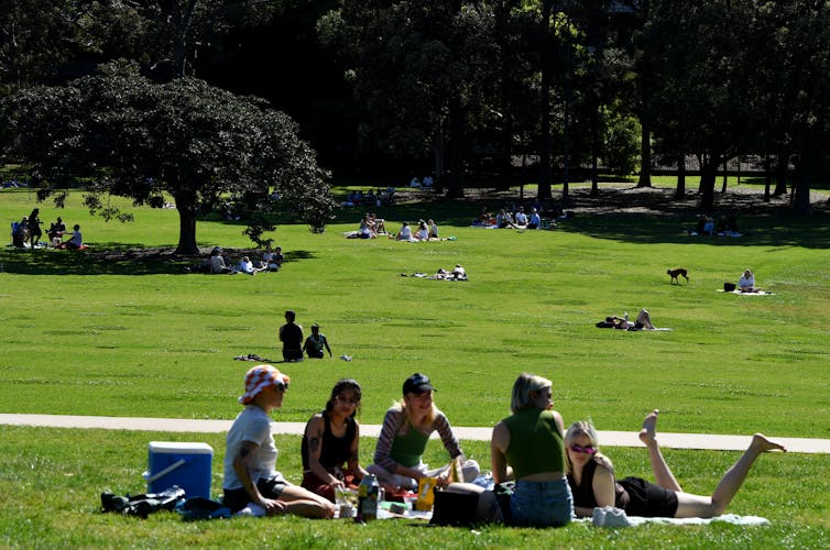 People having a picnic in the park.