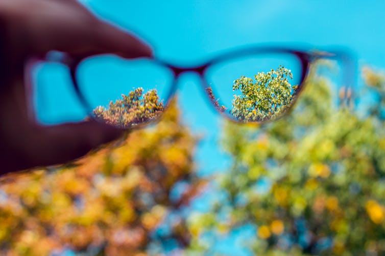 Glasses held out to focus on tree tops in the distance