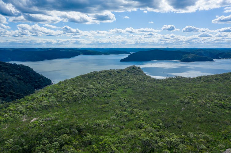 Aerial view of hills, forest and Hawkesbury River