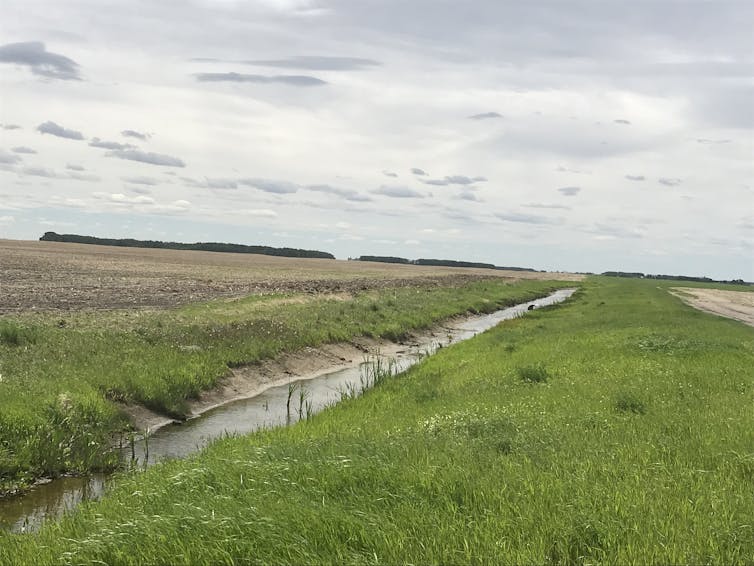 un ruisseau de drainage dans un paysage de prairie