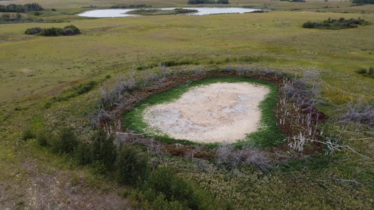 un nid-de-poule asséché dans les prairies