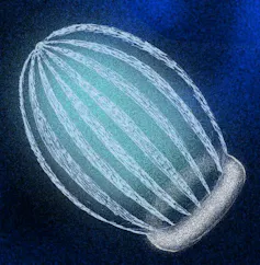 Illustration of a comb jellyfossil
