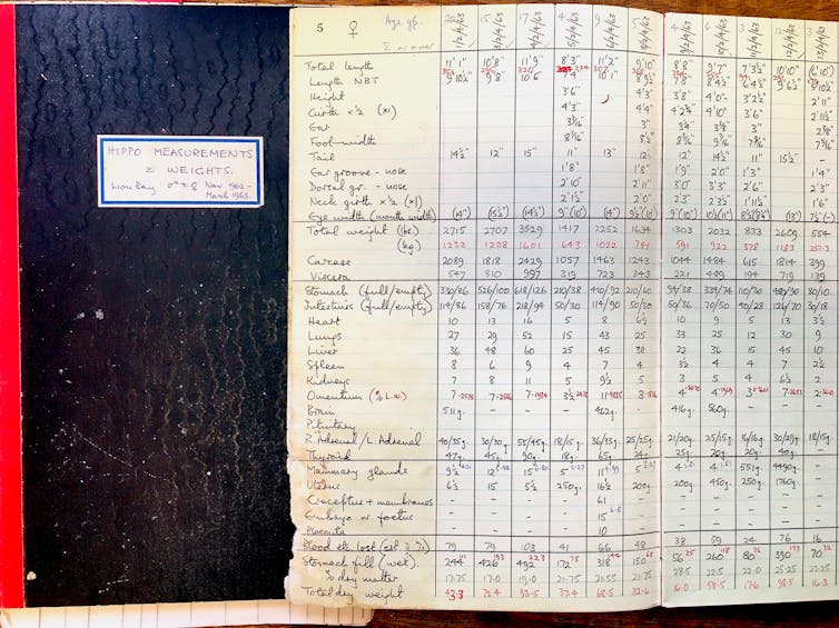 Old notebooks containing measurements