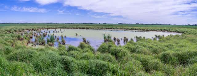 A small body of water in a green prairie ladscape