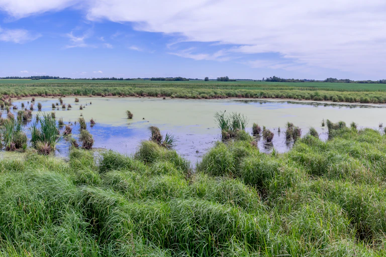 A small body of water in a green prairie ladscape