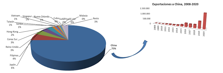 Ganadería intensiva: el reto ambiental del sector porcino en España